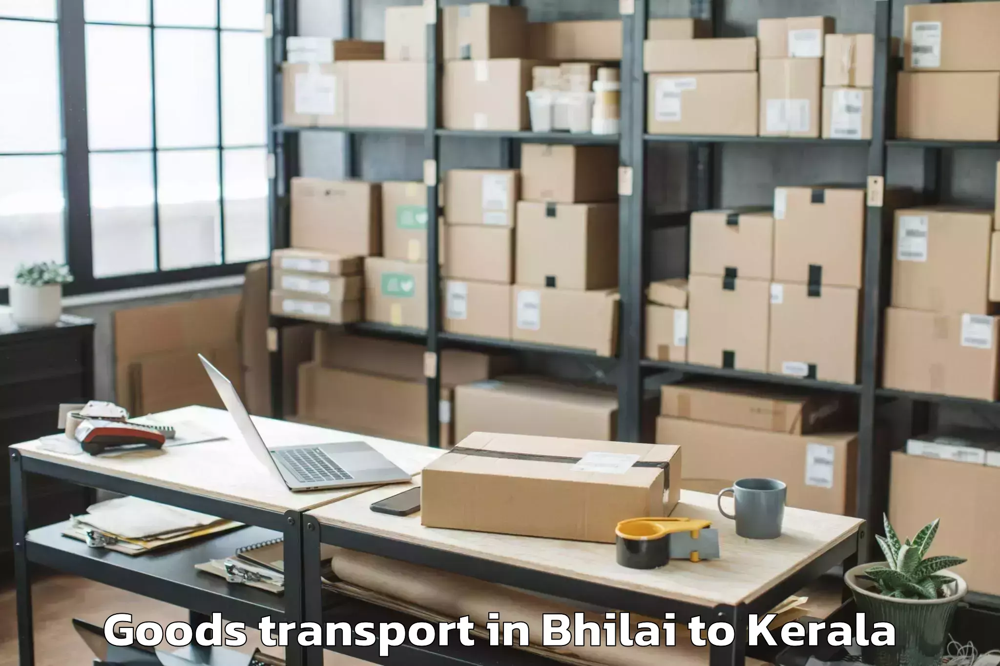 Book Your Bhilai to Kayankulam Goods Transport Today